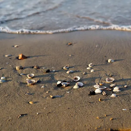 Enjoy Sun, Sand, And Shopping In Our Apartment Bibione