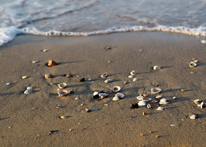 Enjoy Sun, Sand, And Shopping In Our Appartamento Bibione