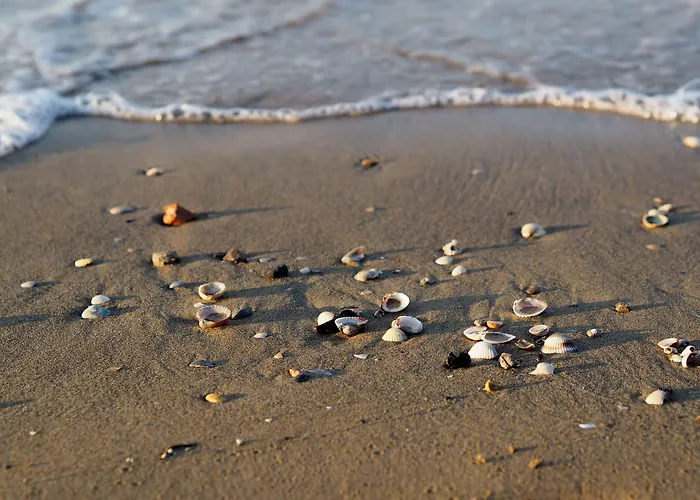 Enjoy Sun, Sand, And Shopping In Our Bibione